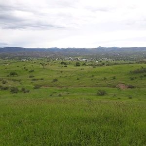 Meet your Posher, Fernando